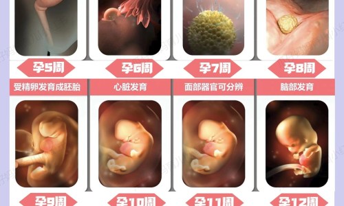 满月出门三大忌-宝宝满月了可以出门吗网- 满月出门三大忌知识,分享宝宝满月了可以出门吗